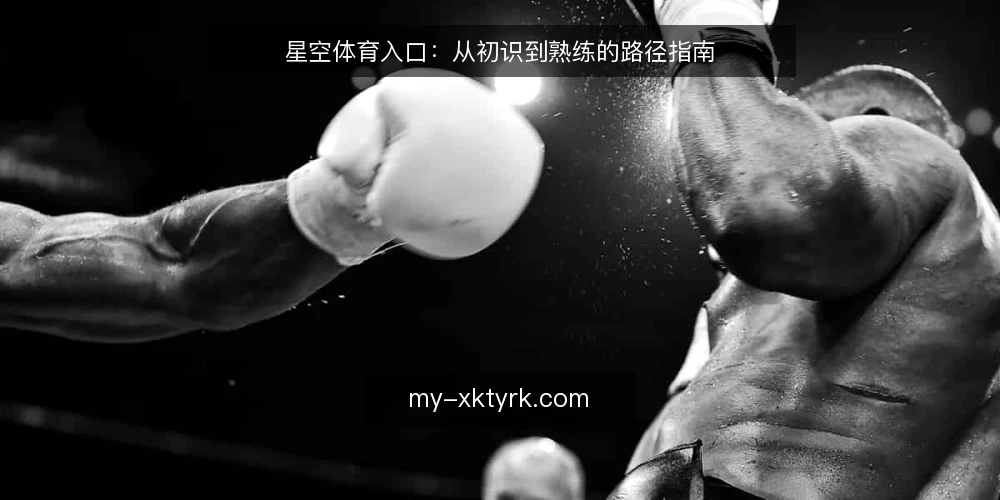 星空体育入口：从初识到熟练的路径指南 — 起点：明确入口的定位与边界 配图