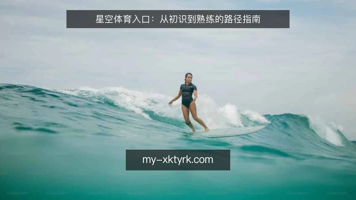 星空体育入口:从初识到熟练的路径指南