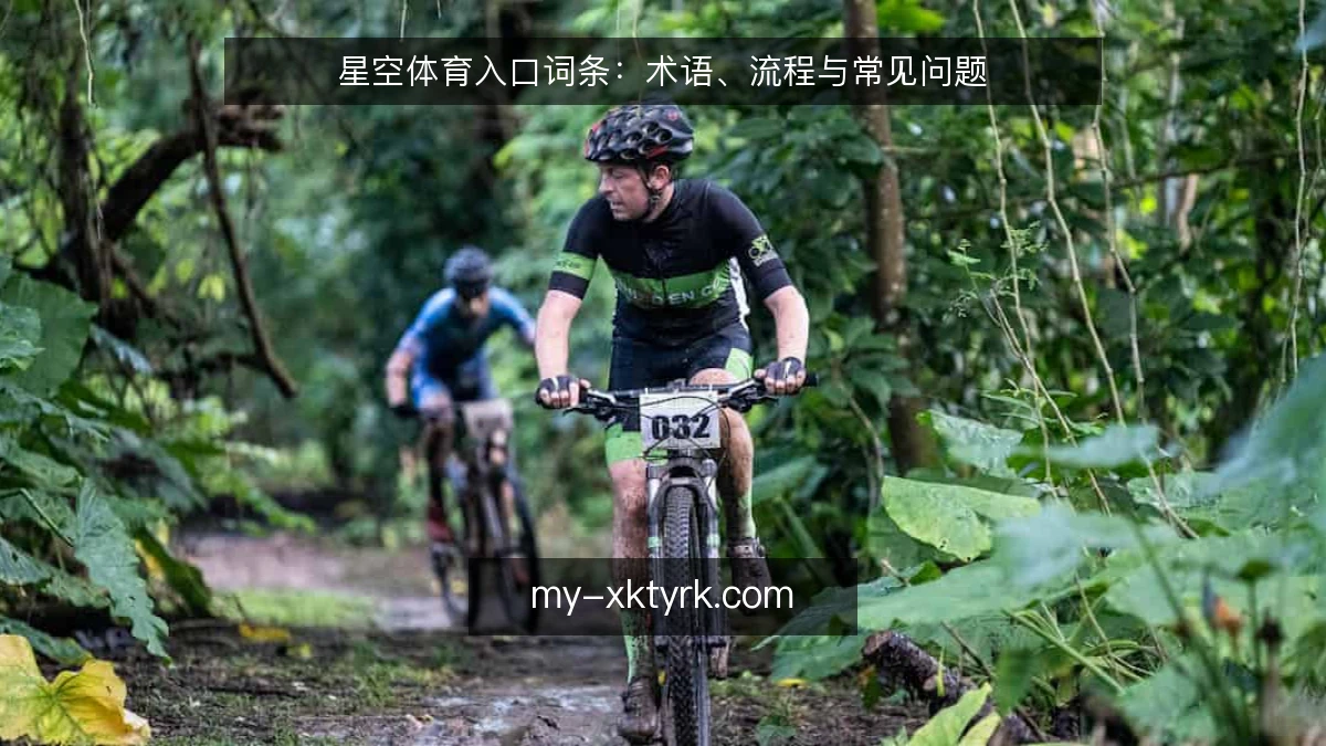 星空体育入口词条:术语、流程与常见问题